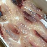 トビウオのアンチョビ(仕込中) I made salted flying fish substitute for salted anchovies!